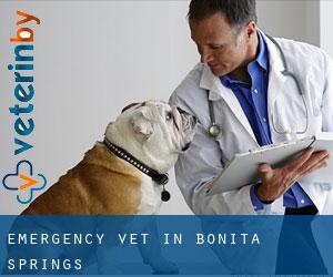 Emergency Vet in Bonita Springs