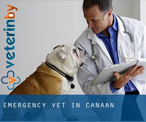 Emergency Vet in Canaan