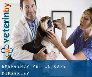 Emergency Vet in Cape Kimberley