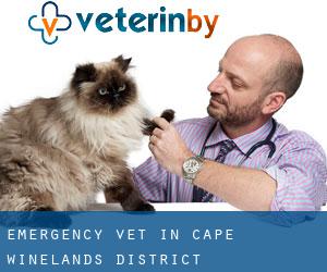 Emergency Vet in Cape Winelands District Municipality