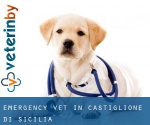 Emergency Vet in Castiglione di Sicilia