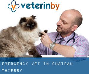 Emergency Vet in Château-Thierry