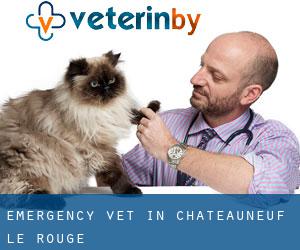 Emergency Vet in Châteauneuf-le-Rouge