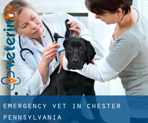 Emergency Vet in Chester (Pennsylvania)