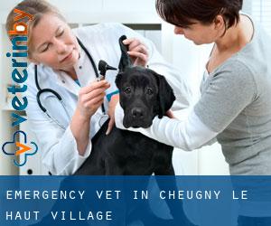 Emergency Vet in Cheugny-le-Haut-Village