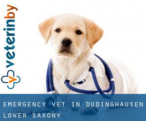 Emergency Vet in Düdinghausen (Lower Saxony)