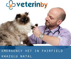 Emergency Vet in Fairfield (KwaZulu-Natal)