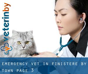 Emergency Vet in Finistère by town - page 3