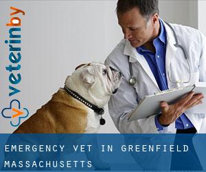 Emergency Vet in Greenfield (Massachusetts)