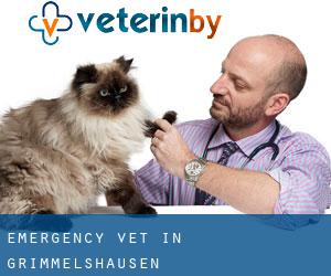 Emergency Vet in Grimmelshausen