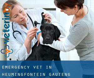 Emergency Vet in Heumingfontein (Gauteng)
