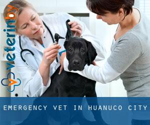 Emergency Vet in Huánuco (City)