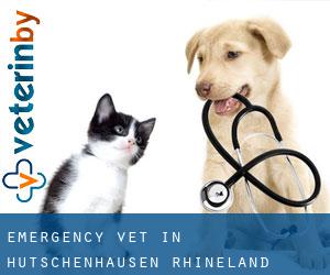 Emergency Vet in Hütschenhausen (Rhineland-Palatinate)