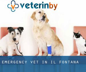 Emergency Vet in Il-Fontana