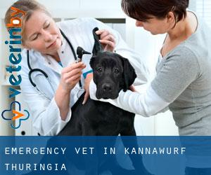 Emergency Vet in Kannawurf (Thuringia)