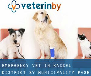 Emergency Vet in Kassel District by municipality - page 4