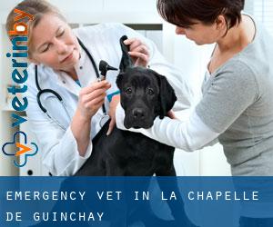 Emergency Vet in La Chapelle-de-Guinchay