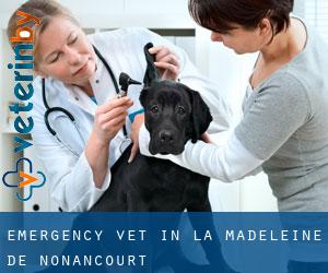 Emergency Vet in La Madeleine-de-Nonancourt