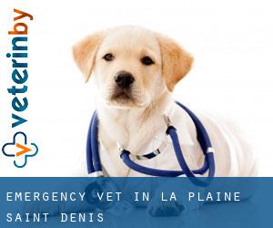Emergency Vet in La Plaine-Saint-Denis