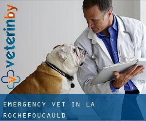 Emergency Vet in La Rochefoucauld