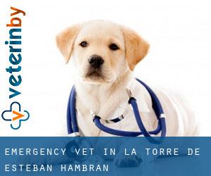 Emergency Vet in La Torre de Esteban Hambrán