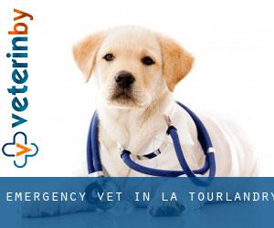 Emergency Vet in La Tourlandry