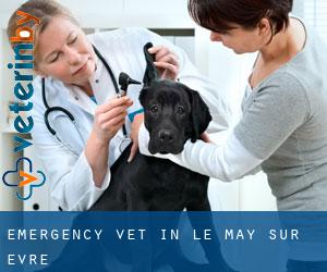 Emergency Vet in Le May-sur-Èvre