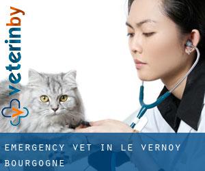 Emergency Vet in Le Vernoy (Bourgogne)