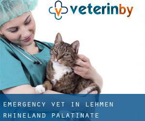 Emergency Vet in Lehmen (Rhineland-Palatinate)