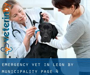 Emergency Vet in Leon by municipality - page 4