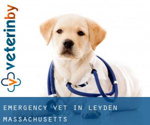 Emergency Vet in Leyden (Massachusetts)