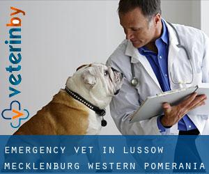 Emergency Vet in Lüssow (Mecklenburg-Western Pomerania)