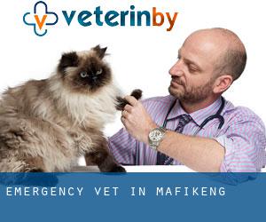 Emergency Vet in Mafikeng