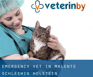 Emergency Vet in Malente (Schleswig-Holstein)