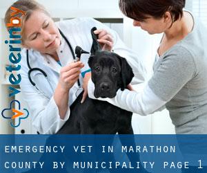 Emergency Vet in Marathon County by municipality - page 1