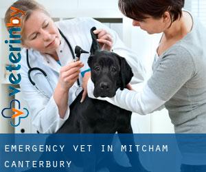 Emergency Vet in Mitcham (Canterbury)
