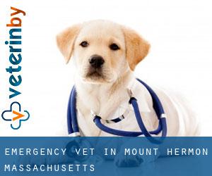 Emergency Vet in Mount Hermon (Massachusetts)