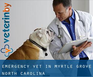 Emergency Vet in Myrtle Grove (North Carolina)