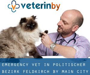 Emergency Vet in Politischer Bezirk Feldkirch by main city - page 1