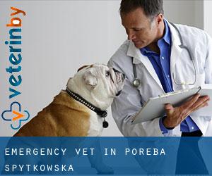 Emergency Vet in Poręba Spytkowska