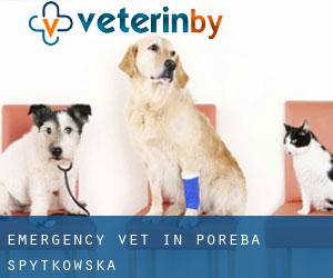 Emergency Vet in Poręba Spytkowska
