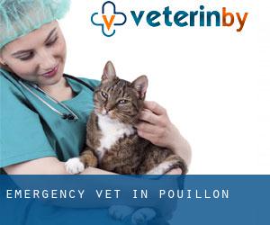 Emergency Vet in Pouillon