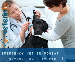 Emergency Vet in Powiat cieszyński by city - page 1