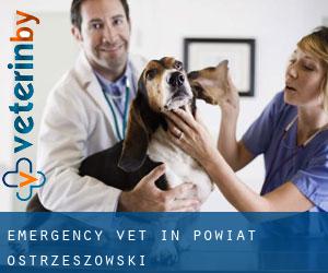 Emergency Vet in Powiat ostrzeszowski