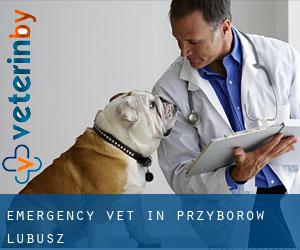 Emergency Vet in Przyborów (Lubusz)