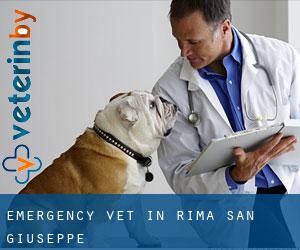 Emergency Vet in Rima San Giuseppe