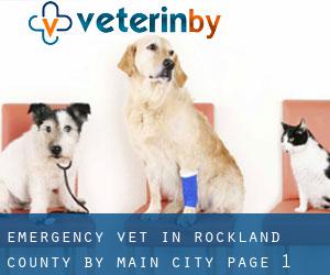 Emergency Vet in Rockland County by main city - page 1