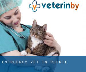 Emergency Vet in Ruente