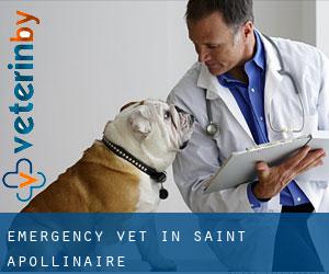 Emergency Vet in Saint-Apollinaire