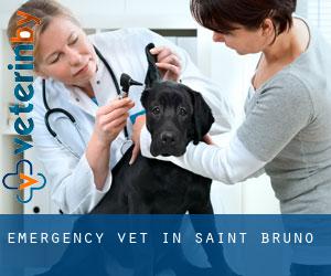 Emergency Vet in Saint-Bruno
